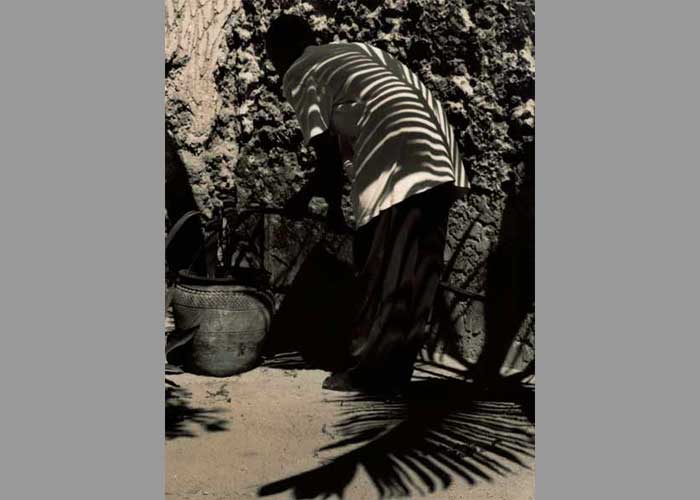 Africa slideshow image next